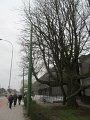 035 (2)